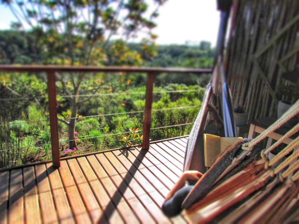Woodlands Self Catering Hotell Knysna Eksteriør bilde