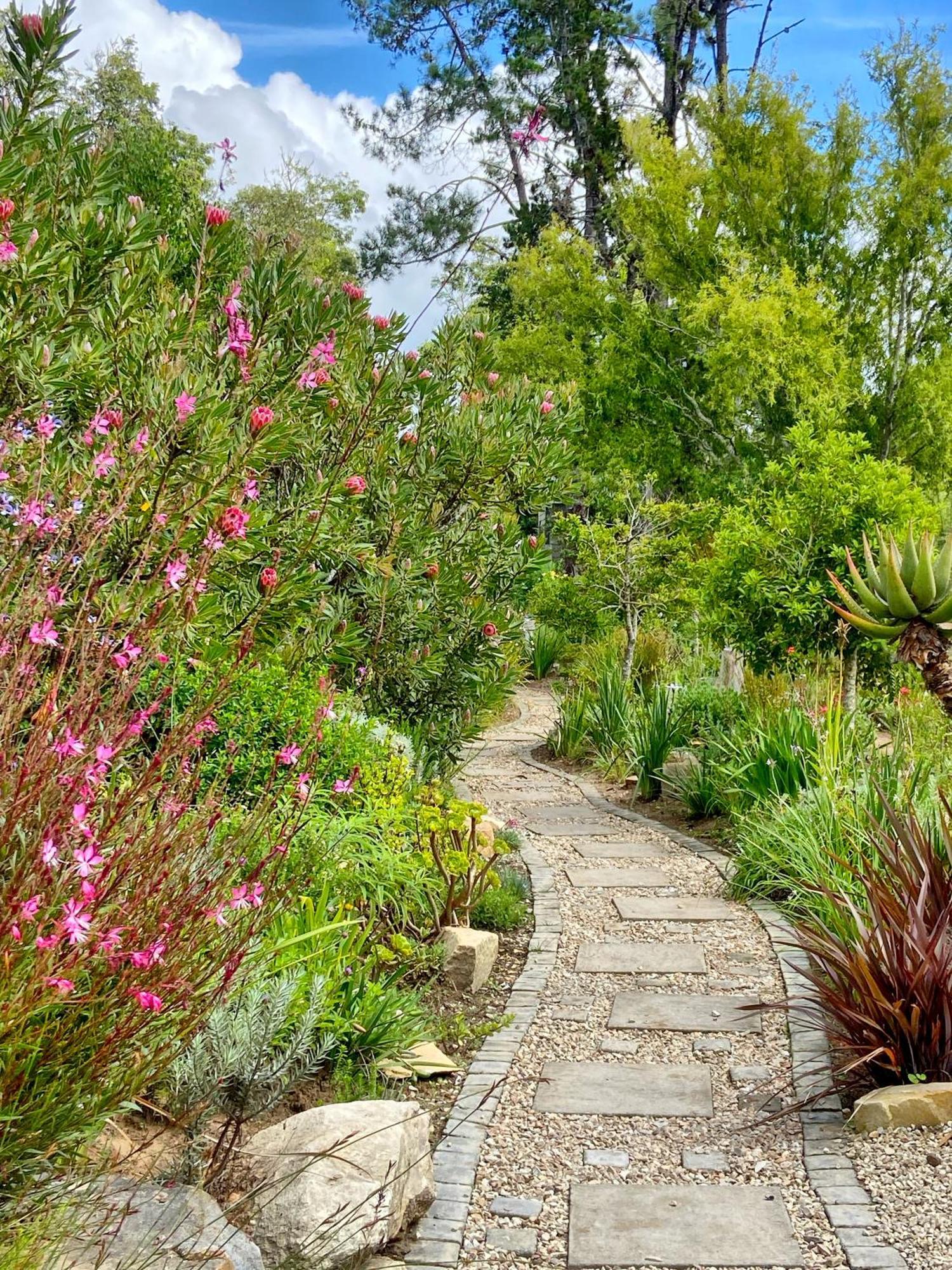 Woodlands Self Catering Hotell Knysna Eksteriør bilde