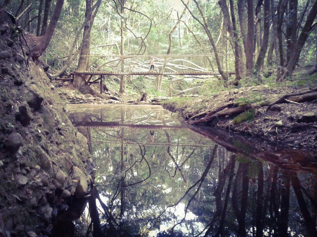 Woodlands Self Catering Hotell Knysna Eksteriør bilde