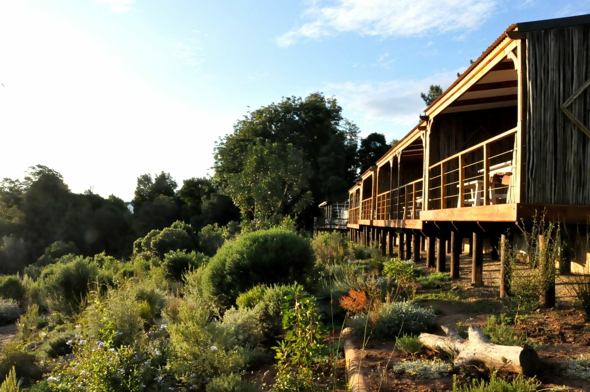 Woodlands Self Catering Hotell Knysna Eksteriør bilde