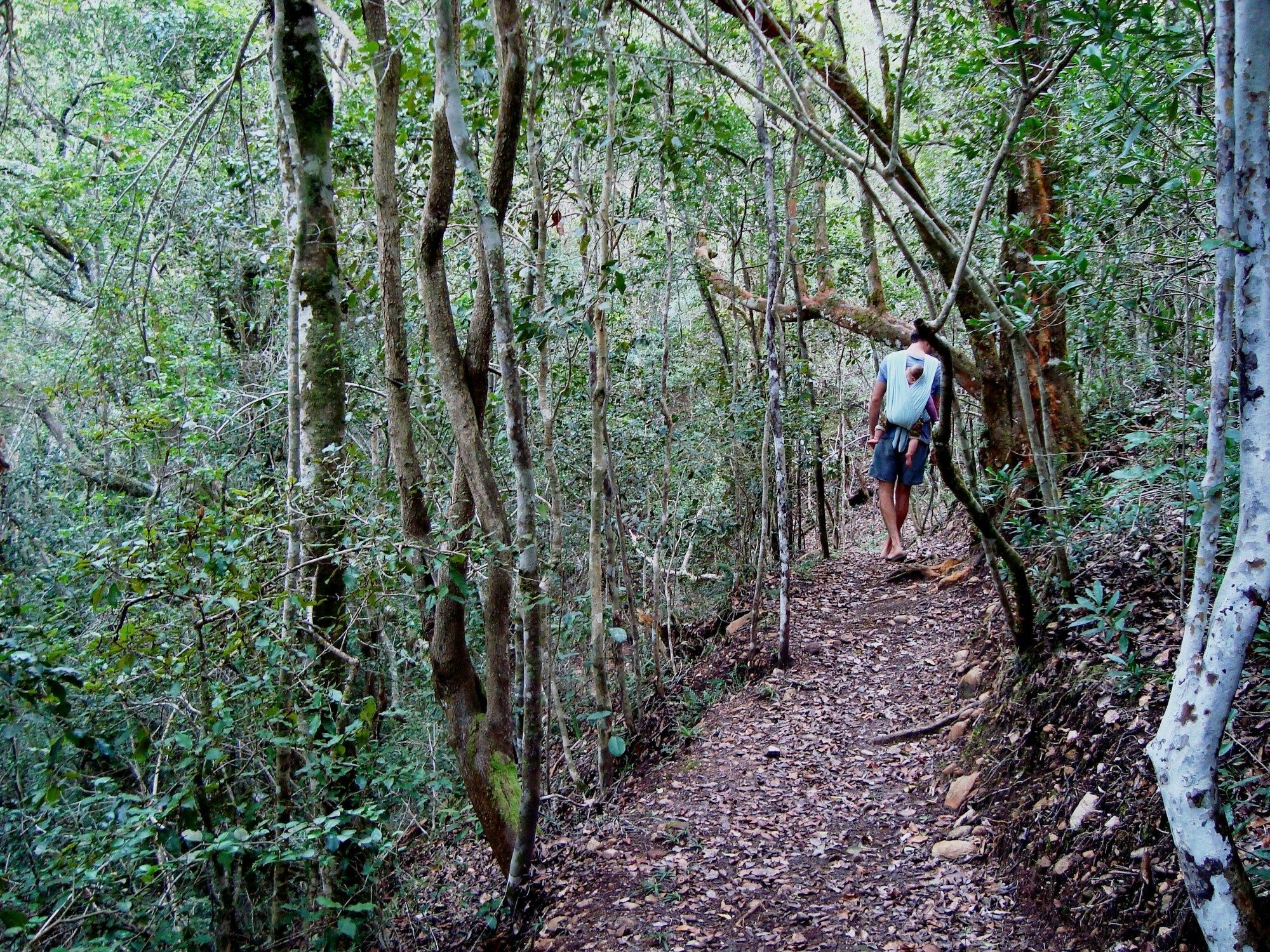 Woodlands Self Catering Hotell Knysna Eksteriør bilde