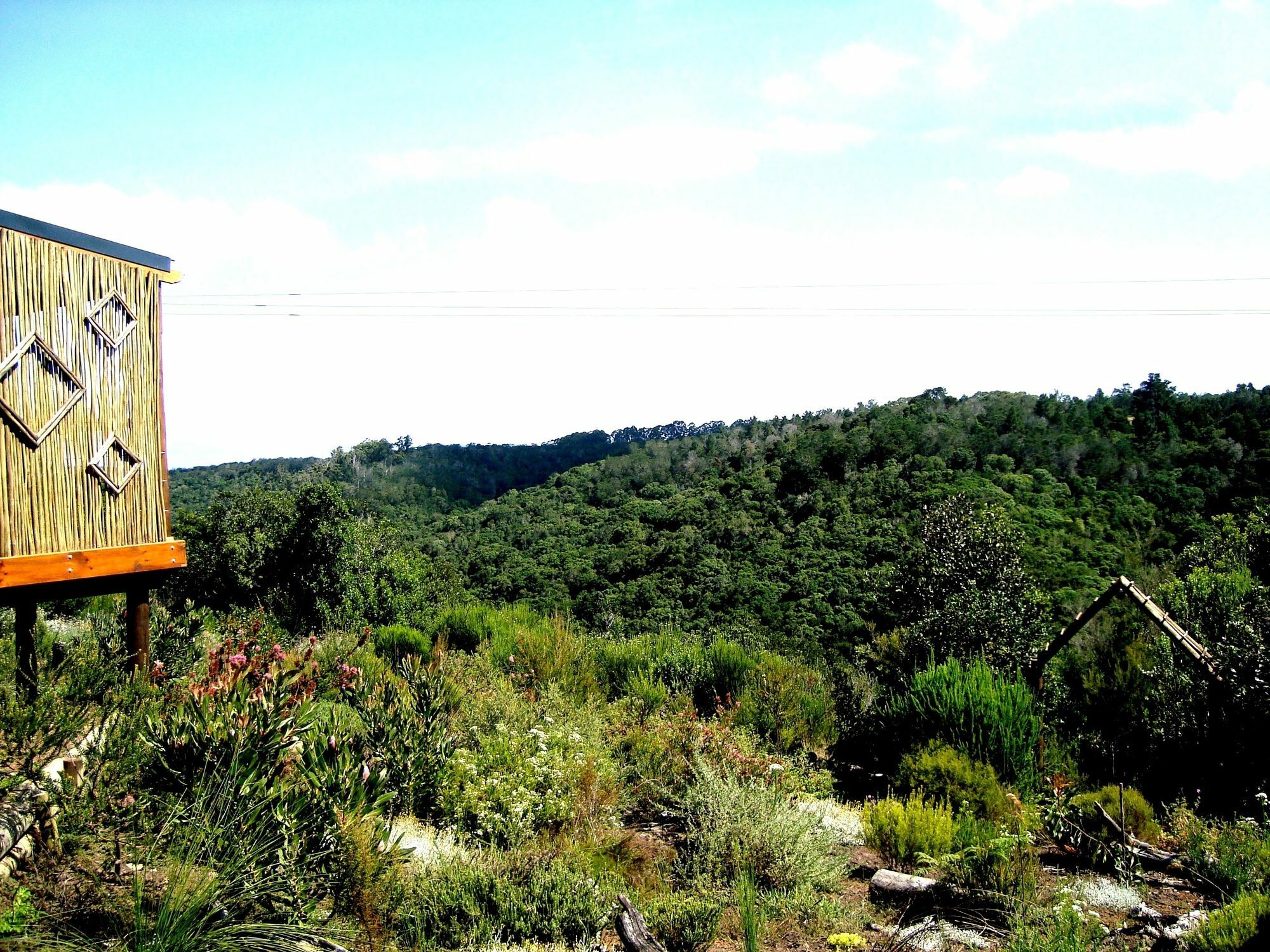 Woodlands Self Catering Hotell Knysna Eksteriør bilde